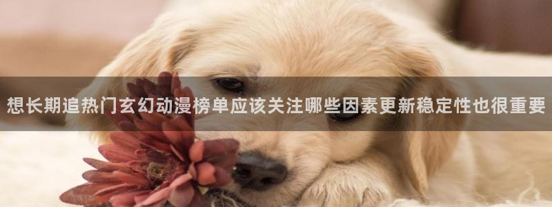 韩漫漫画推荐大全：想长期追热门玄幻动漫榜单应该关注哪些因素更新稳定性也很重要配图