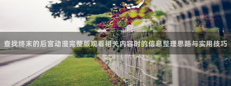 韩漫漫画阅读网:查找终末的后宫动漫完整版观看相关内容时的信息整理思路与实用技巧配图