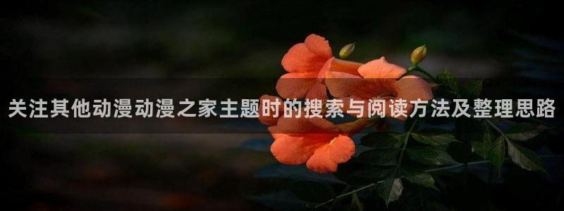 韩漫漫画免费观看在线:关注其他动漫动漫之家主题时的搜索与阅读方法及整理思路配图