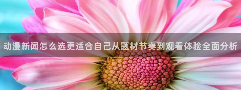 韩漫漫画大全中文版:动漫新闻怎么选更适合自己从题材节奏到观看体验全面分析配图